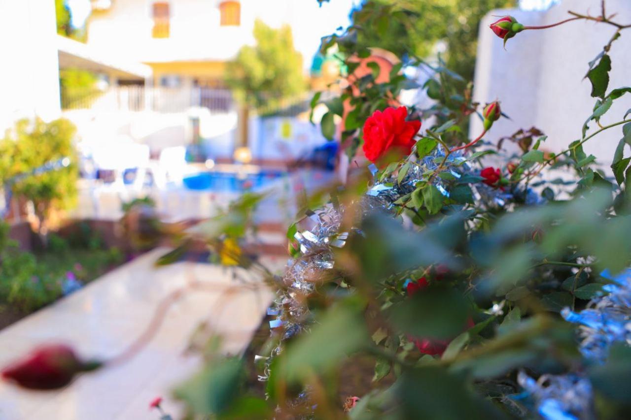 Luxor Oasis Guest House Exterior foto