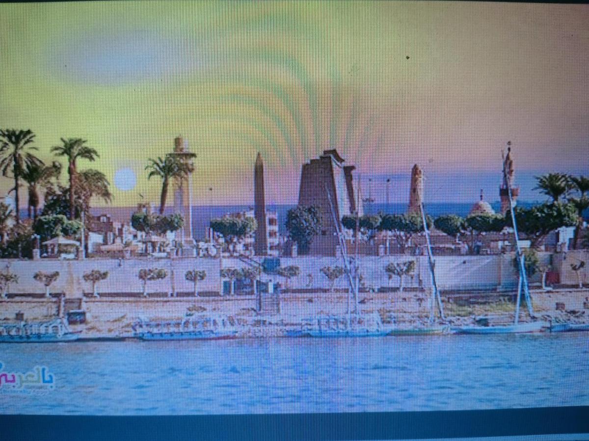 Luxor Oasis Guest House Exterior foto