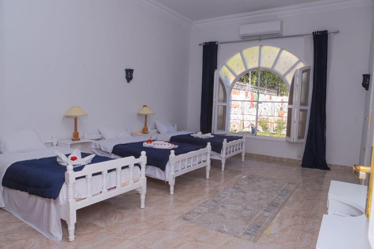 Luxor Oasis Guest House Exterior foto